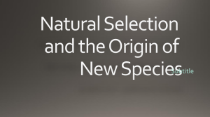 Natural Selection and the Origin of new species