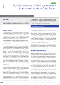 Multiple Variations of Coronary Arteries