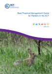 Best Practice Management Guide for Rabbits in the ACT