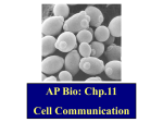 AP Bio: Chp.11 Cell Communication G-protein