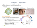 Ecological Organization