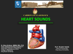 6-(Updated) HeartSounds-2016