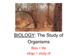 BIOLOGY: The Study Life
