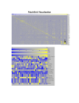 PatchGrid Visualization