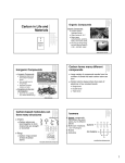 Carbon in Life and Materials