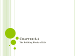 Chapter 6.4 The Building Blocks of Life