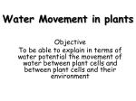 Water Movement in plants