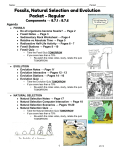 Fossils, Natural Selection and Evolution Packet