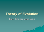 Theory of Evolution ppt