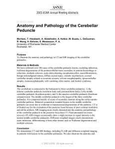 Anatomy and Pathology of the Cerebellar Peduncle