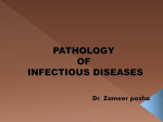 PATHOLOGY OF INFECTIOUS DISEASES