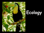 basics of ecology ppt - Peoria Public Schools