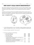 Why Don`t Cells Grow Indefinitely? Cell Size 1617