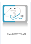 anatomy team