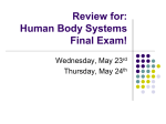 Review for: Human Body Systems Final Exam!