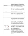 Essential Vocabulary - Mesopotamia – List One