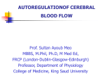24 Cerebral blood flow2012-10-01 04:03788 KB