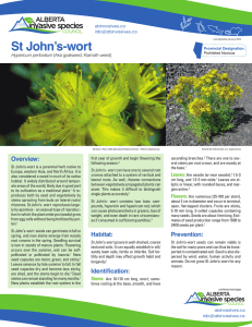 Fact Sheet: St. John`s-wort