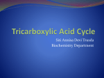 Tricarboxylic Acid Cycle