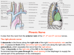 19-lung2009-01-25 02:173.7 MB