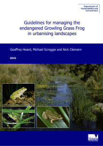 Guidelines for managing the endangered Growling Grass Frog in