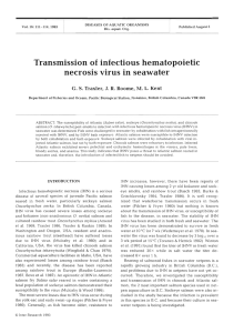 Transmission of infectious hematopoietic necrosis virus in seawater