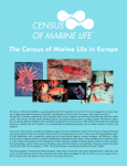 census of marine life - Mar-Eco