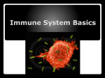 Immune System Basics - Wayzata Public Schools