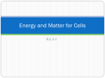 Energy and Matter for Cells