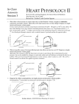 4. In-Class Worksheet Answers - CIM