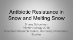 Antibiotic Resistance in Snow and Melting Snow