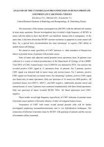 ANALYSIS OF THE CYTOMEGALOVIRUS INFECTION IN HUMAN