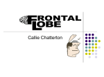 frontal lobe - Callie Chatterton