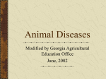 Animal Diseases - Georgia CTAE | Home