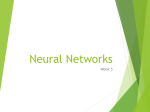 Neural Networks - Temple Fox MIS