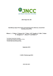 Quantifying usage of the marine environment by terns