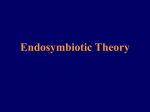 Endosymbiotic Theory - University of Evansville Faculty Web sites