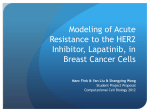Modeling of Acute resistance to the HER2 inhibitor