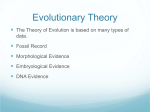 Evol Theory, Evidence