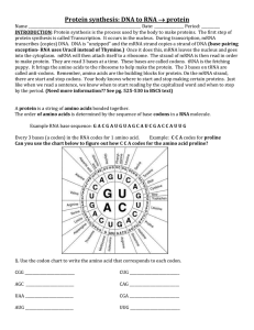 Practice using the RNA codon * amino acid Codon Chart*