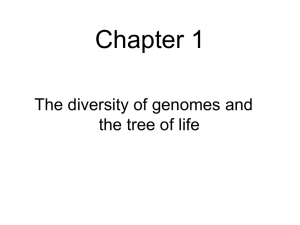 Diversity of genomes and the tree of life
