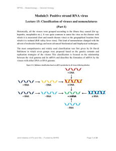 Module3: Positive strand RNA virus