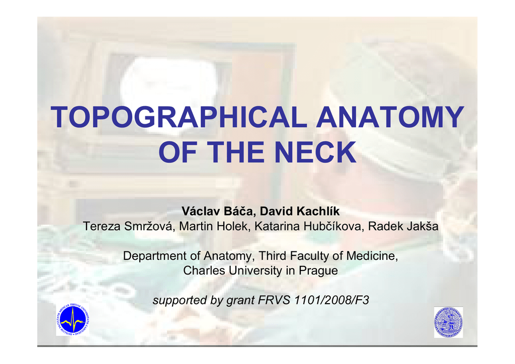 Topographical Anatomy of the Neck