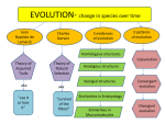 EVOLUTION- change in species over time