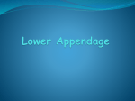 Lower Appendage