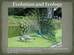 Evolution and Ecology