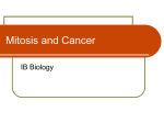 Mitosis and Cancer - hrsbstaff.ednet.ns.ca