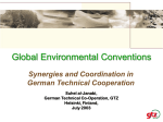 Global Environmental Conventions