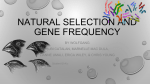 NATURAL SELECTION AND GENE FREQUENCY