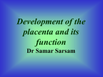Development of the placenta and its function Dr Samar Sarsam